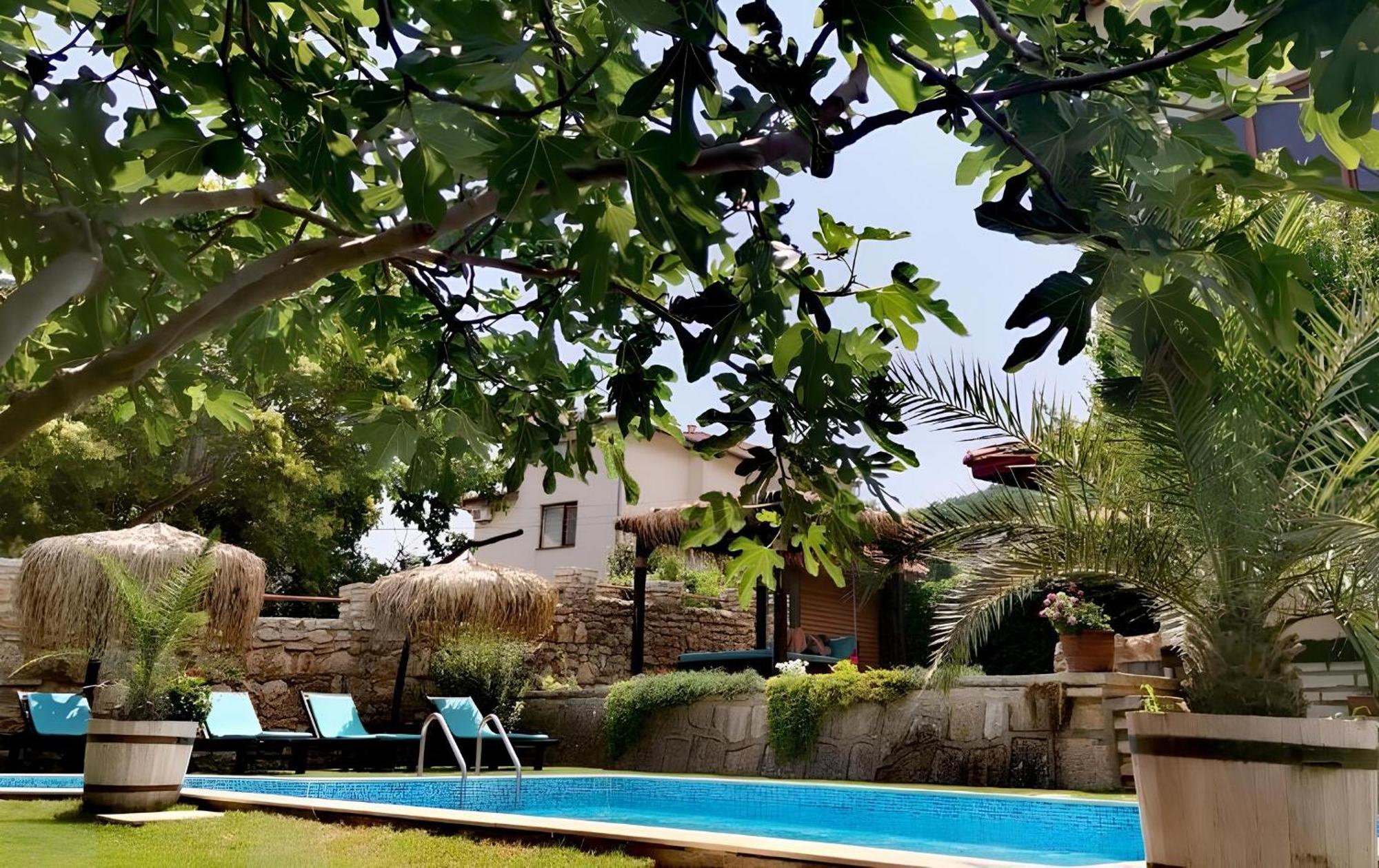 Villa Komitata-Pool And Jacuzzi Balchik Exterior photo
